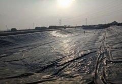 佳(jia)路(lu)通(tong)土(tu)工膜用於(yu)泰(tai)安(an)景(jing)觀湖(hu)防滲(shen)項(xiang)目(mu)