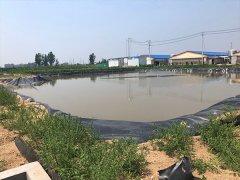魚(yu)蝦(xia)養(yang)殖(zhi)土工(gong)膜