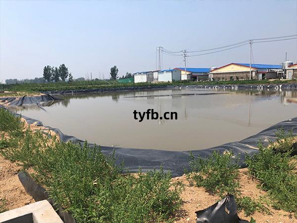魚(yu)蝦(xia)養(yang)殖土(tu)工(gong)膜