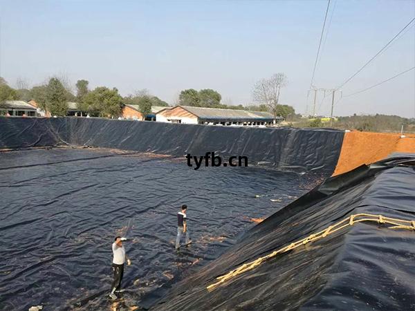 江(jiang)西養(yang)豬基(ji)地(di)建(jian)設(she)選(xuan)擇佳(jia)路通養(yang)殖(zhi)防(fang)滲(shen)膜(mo)