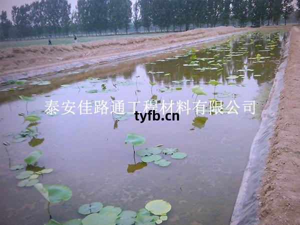 養殖(zhi)防(fang)滲膜施(shi)工(gong)質量咋(za)檢(jian)測？這些(xie)技巧(qiao)要(yao)掌(zhang)握(wo)