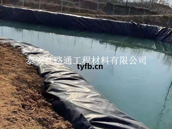魚(yu)塘(tang)防(fang)滲膜破了別慌(huang)，這(zhe)樣處理保(bao)防(fang)滲