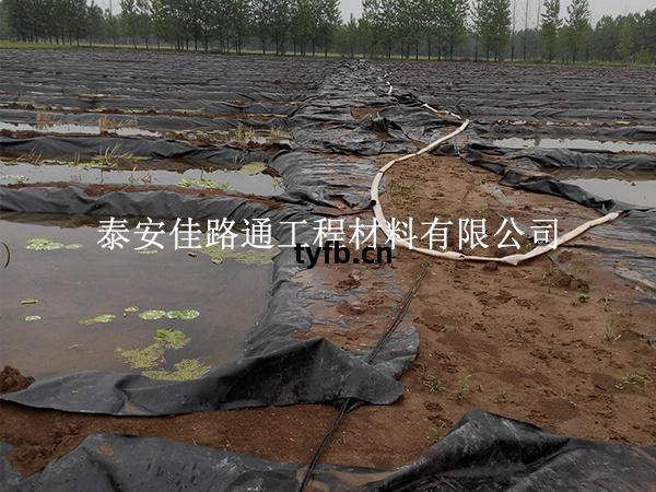 養殖防(fang)滲(shen)膜養(yang)護別(bie)大意(yi)，這(zhe)些方(fang)法(fa)延長(chang)壽命